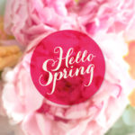 Hello Spring