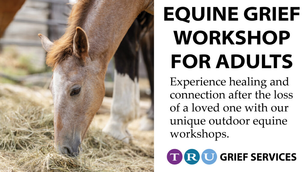 EQUINE GRIEF WORKSHOP FOR ADULTS
